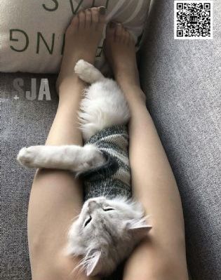 现在国产手机哪款最好_720神马影院手机在线