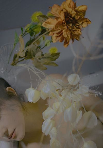 精品小泰迪视频_BD英语电影全集观看